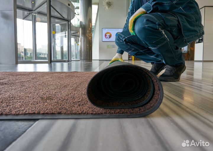 Чистка ковра