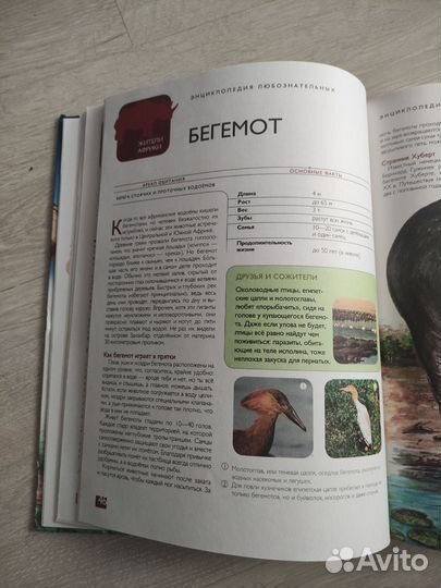 Энциклопедия любознательных. Животные. 