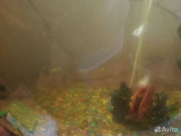Аквариум