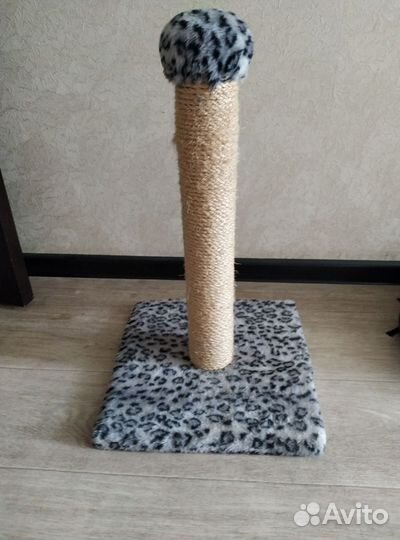 Когтеточка