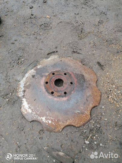 Ромашки дискатора