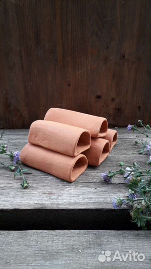 Аквариумные рыбки