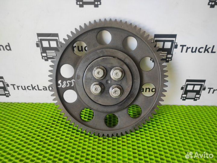 Шестерня грм Man Tgx