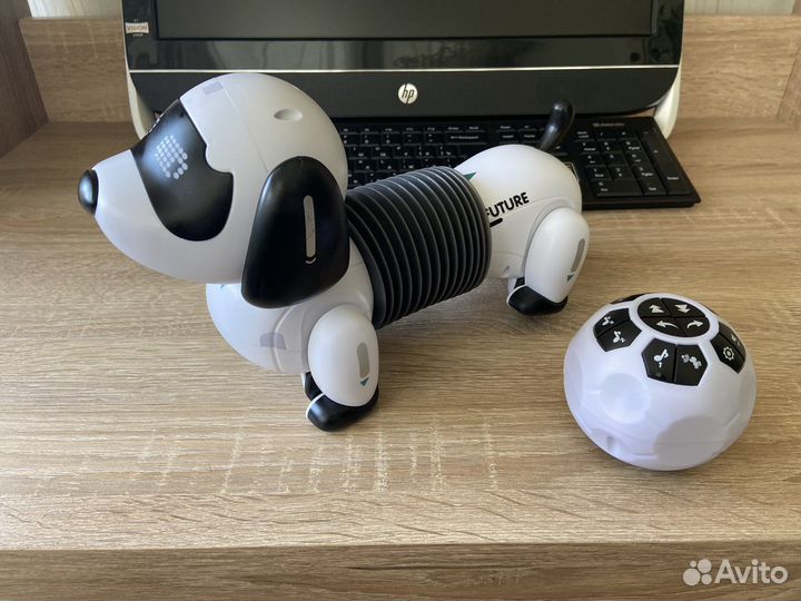 Собака робот. Новая