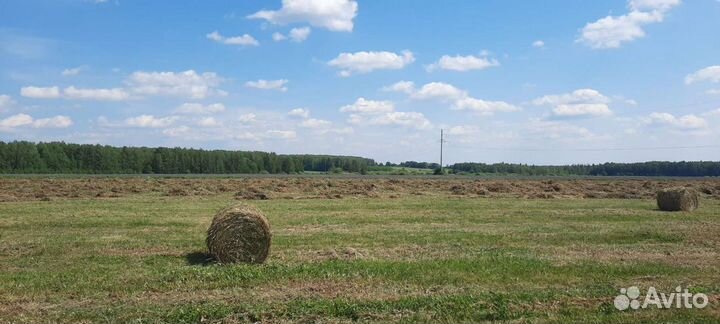 Сено в рулонах