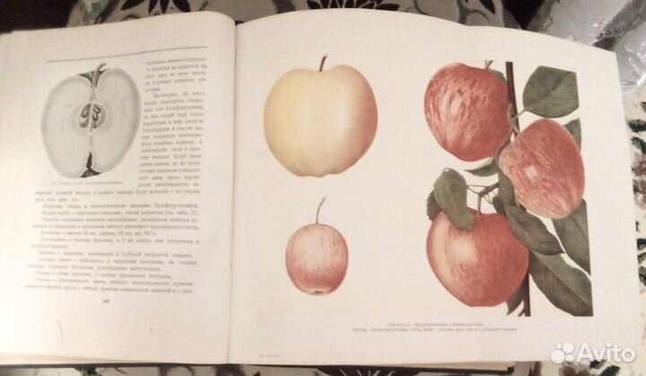 Антикварные книги