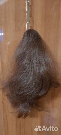 Хвост на крабе