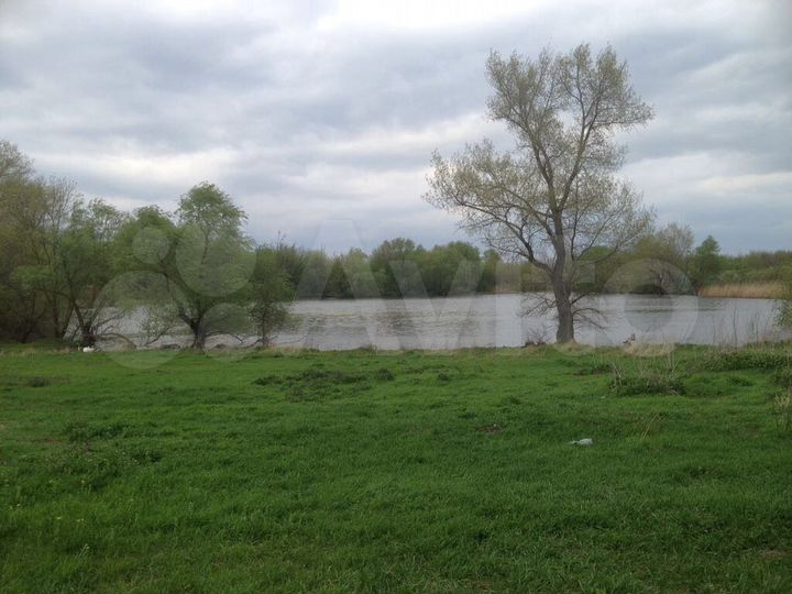 Участок 43 сот. (ИЖС)