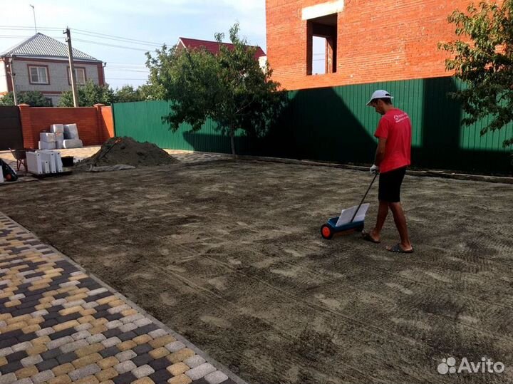 Клевер белый. Посев травы