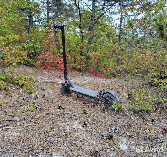 Элeктрocамокат Хiaomi m365 рro оригинал