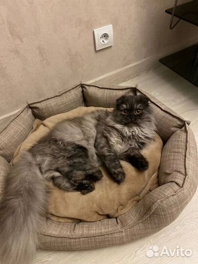 Лежанка для собак