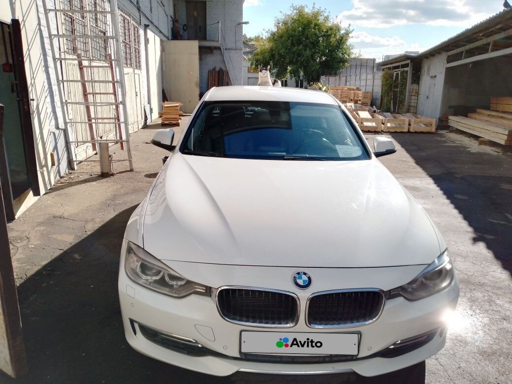 BMW 3 серия: фото владельца