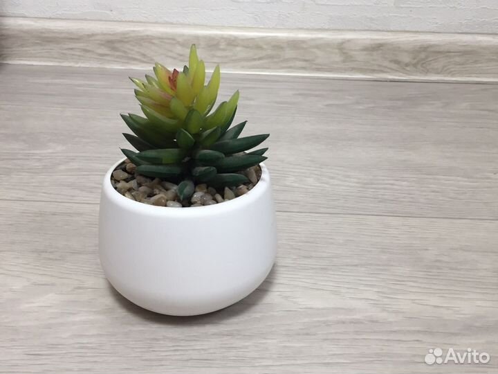 Флорариум искусственный