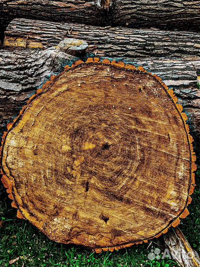 Спилы и слэбы дерева