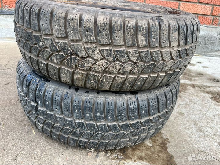 Tigar Sigura Stud 185/60 R14 82T