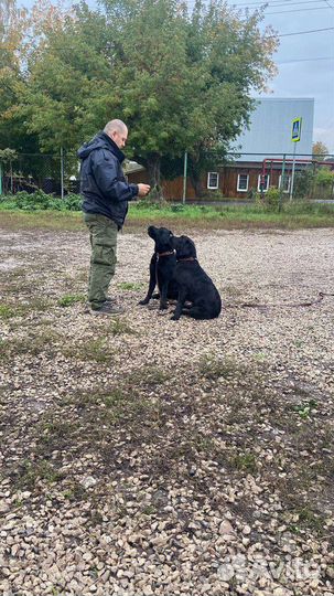 Инструктор кинолог- зоопсихолог