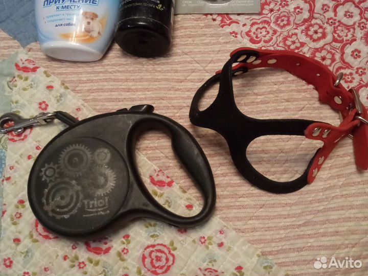 Аксессуары для собак, поводок, шлейка, одежда