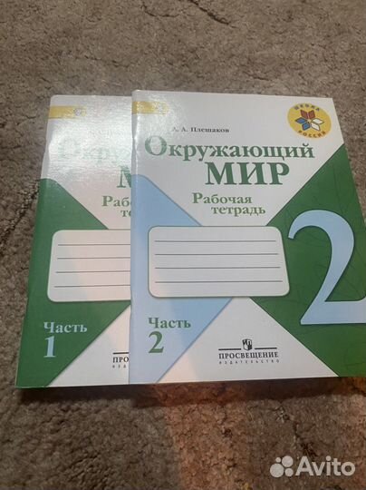 Рабочая тетрадь плеханов окружающий мир