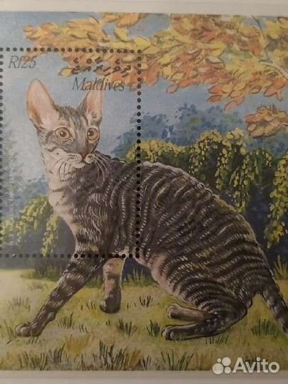 Редкие марки с Кошками, 4 шт. (Мальдивы)