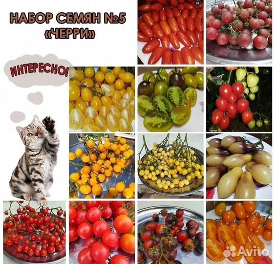 Семена помидоров