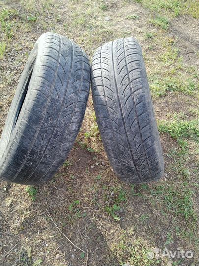 Tigar Summer SUV 175/70 R13