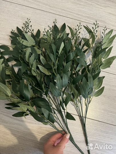 Рускус зелень искусственная