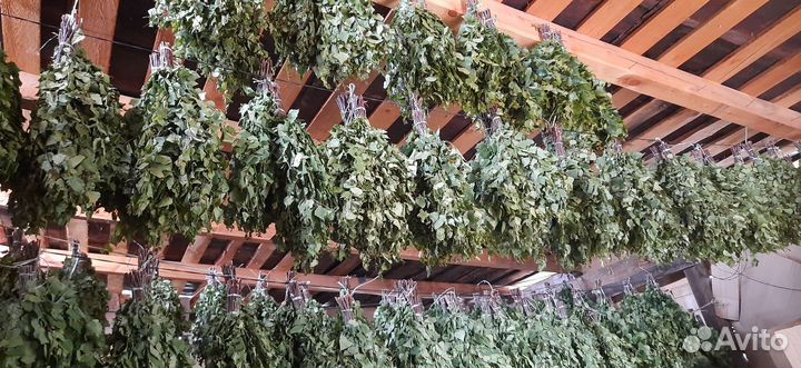 Березовые веники