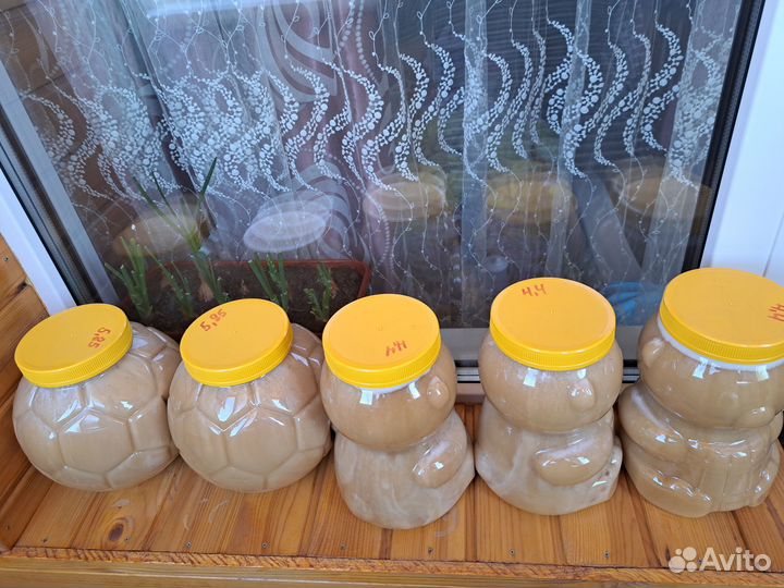 Алтайский мед