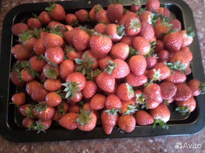 Клубника, свежая