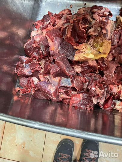 Мясо для собак и других животных с доставкой