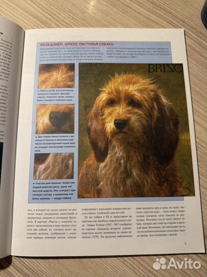 Рисуем собак