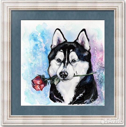 Портрет хаски