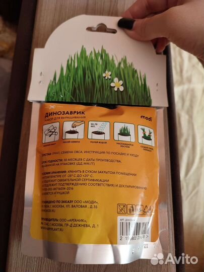 Набор для выращивания растений Динозаврик