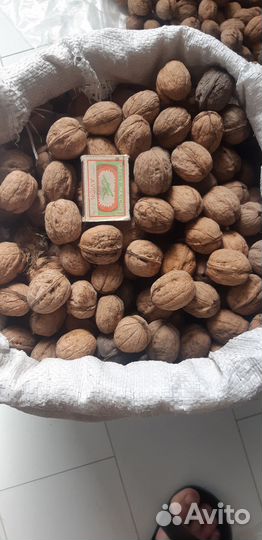 Орех грецкий