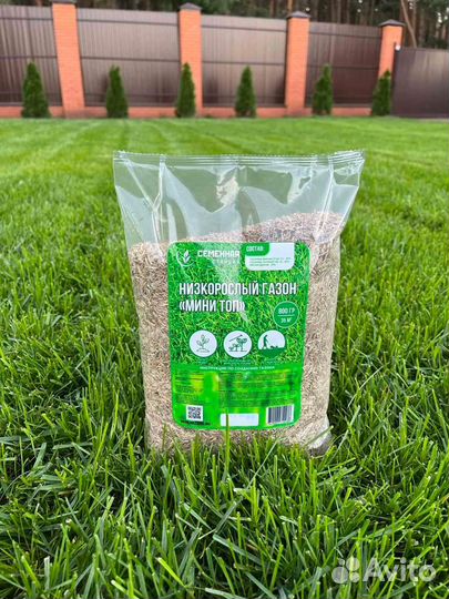 Семена газона, низкорослый (многолетний) 0,8кг