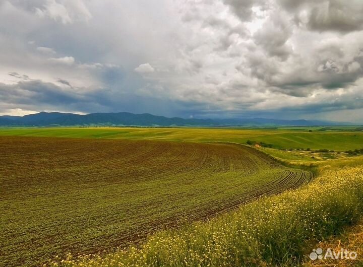 Сельскохозяйственное предприятие 7000 га