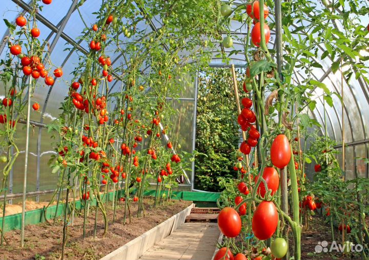 Теплицы для каждого за 2 часа