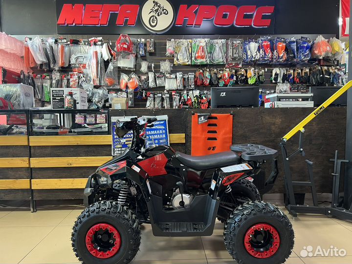 Квадроцикл Tao Mudhawk 110