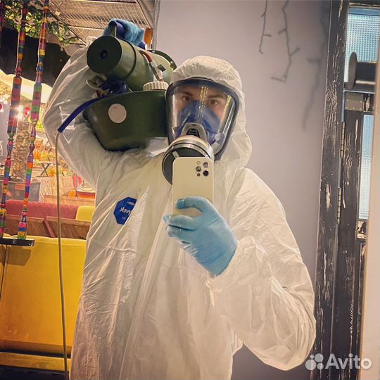 Уничтожение клопов тараканов насекомых