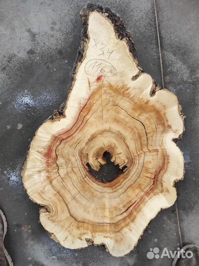 Торцевой спил дерева, слэбы из дерева