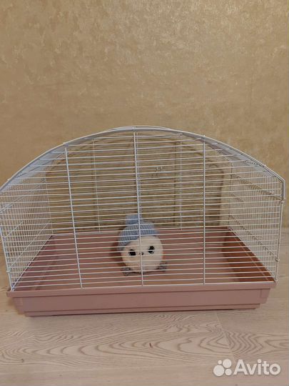 Клетка для грызунов бу