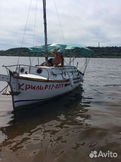 Катер Криль