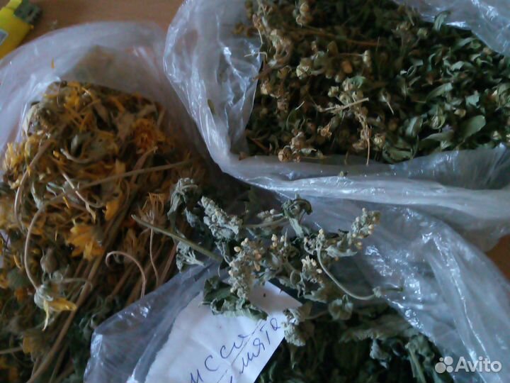 Лекарственные травы