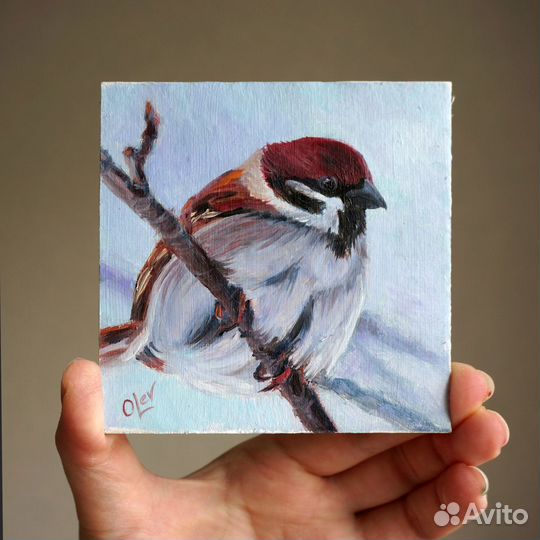 Картина маслом Воробей 10х10см. В наличии