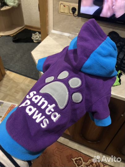 Одежда для маленьких собак