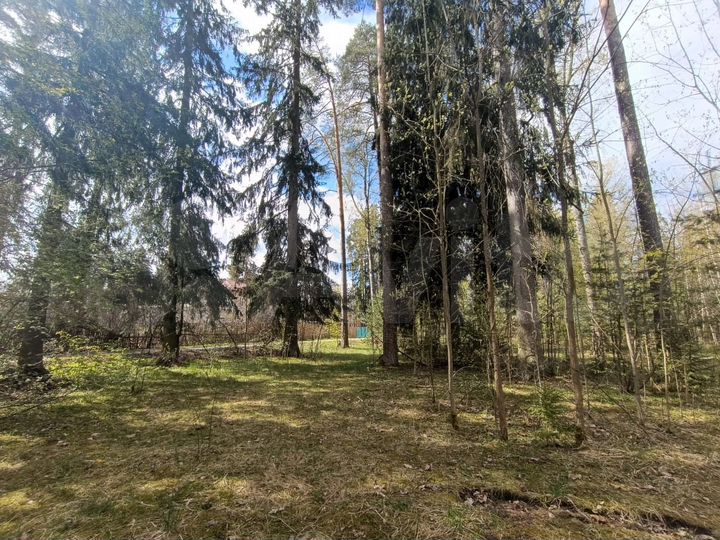 Участок 12,5 сот. (ИЖС)