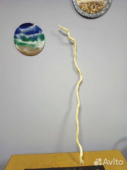 Декоративные ветки