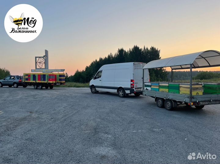 Мёд башкирский свежий. Собственная пасека