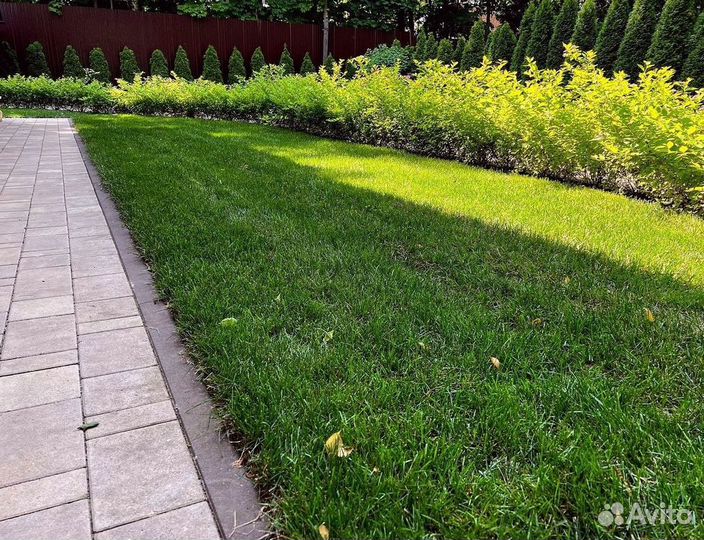Теневой рулонный газон под ключ