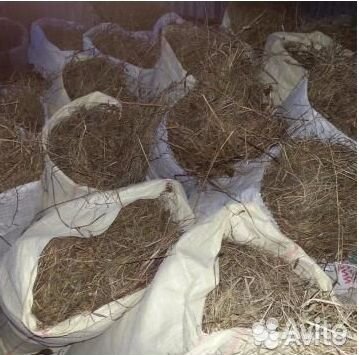 Сено душистое